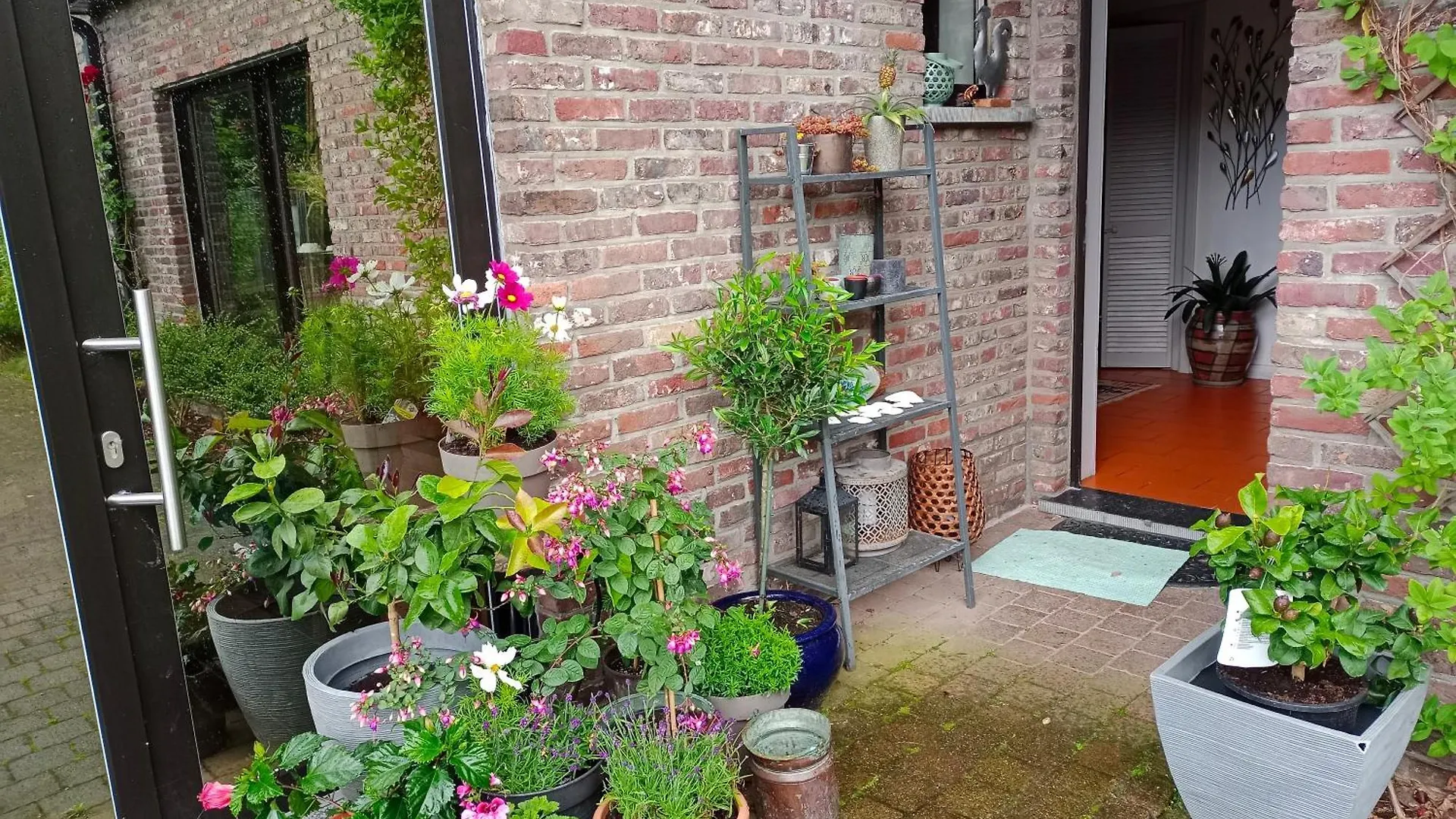 Efes Home Ghent Belgium